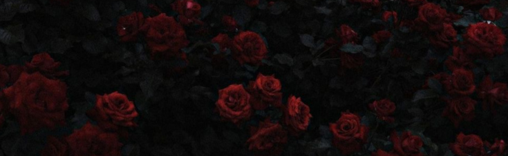 ༊*·˚ 𝐅𝐎𝐑𝐌𝐎𝐒𝐀 Discord Server Banner