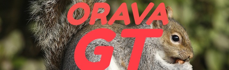 ORAVAGT Discord Server Banner