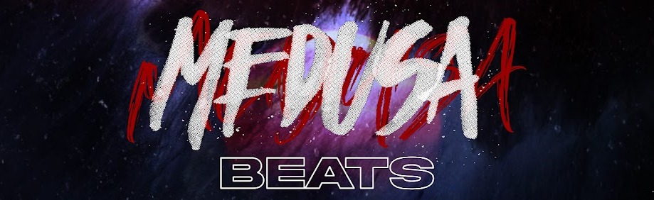 DusaHub Discord Server Banner