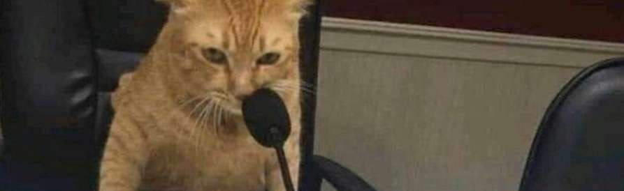 Virreinato del Rio de la Vulfa Discord Server Banner