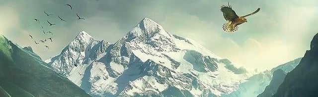 Terrasen 21+ Discord Server Banner