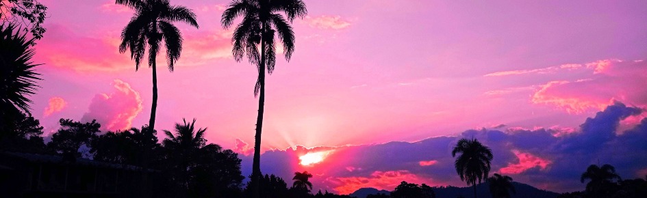 L U X U R I Λ | 18+ Discord Server Banner