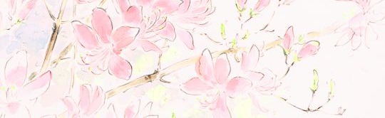 FiaMays Discord Server Banner