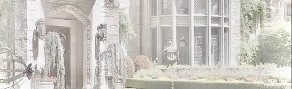 castle blanca Discord Server Banner