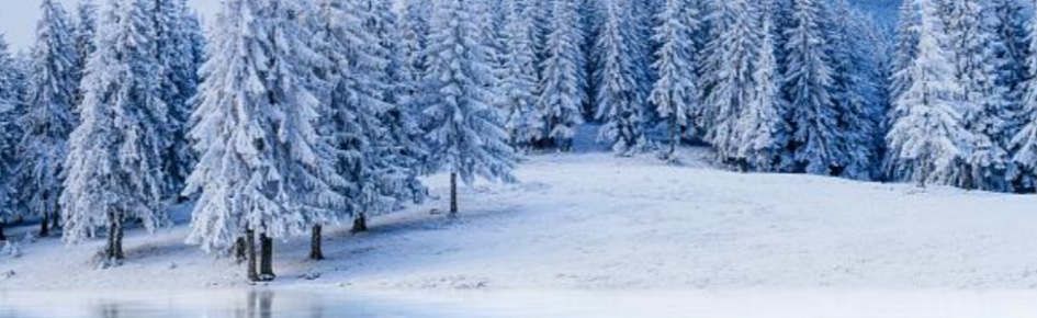 𝓔𝓻𝓼𝓸𝓶𝓪𝓷𝓲𝓪 𝓟𝓟𝓕 Discord Server Banner