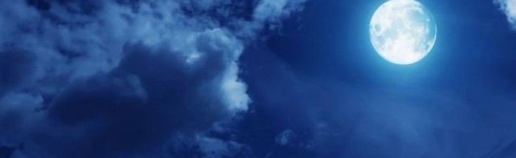 Porsche Discord Server Banner