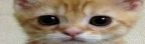 League of Cancer Discord Server Banner