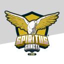Spiritus Sancti Small Banner