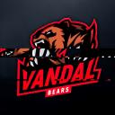 Vandal Bears eSports Small Banner