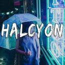 Halcyon™ Small Banner