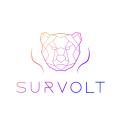 Survolt’s Community Small Banner