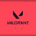 Liga de Valorant Amateur [LVA] Icon