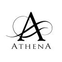Athena Netzwerk Icon