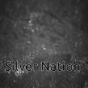 Silver Nation Icon