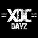 XDC DayZ Small Banner