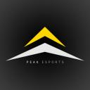 Peak eSports Small Banner