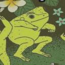 The Frog Pit Small Banner