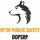 Department of Public Safety RP Icon
