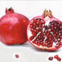 The Pomegranation Small Banner