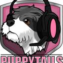 PuppyTails Gaming Small Banner