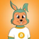 Crypto Bunny Club Small Banner