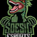 Soesic eSports Small Banner