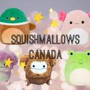 Squishmallows Canada Small Banner