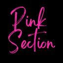 Pink Section Small Banner