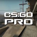 CS:GO Pro Small Banner