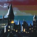 World of Harry Potter- German ho Small Banner
