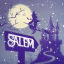 Town of Salem Small Banner