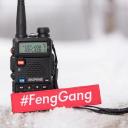 FengGang Small Banner
