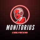 Monitorius - Resell Vinted Icon