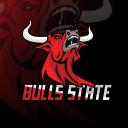 Bulls State Icon
