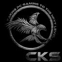 CKS-Gaming Icon