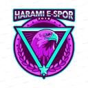HARAMI E-Spor Icon
