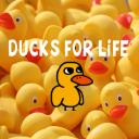 Ducks For Life Small Banner
