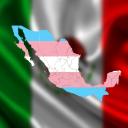 Mexico trans y querido Small Banner