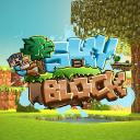 Hypixel-Skyblock Small Banner