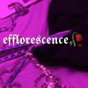 Efflorescence Small Banner