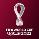 Road to the 2022 World Cup Small Banner