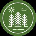 TeamTrees.org - Unofficial Icon