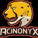 Acinonyx E-Sports Icon