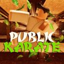 Public Karate Small Banner