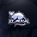 ICE CASTLE Small Banner