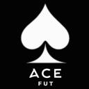 ACE FUT Small Banner