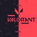 Valorant Community EUW Small Banner