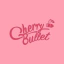 Cherry Bullet 체리블렛 Small Banner