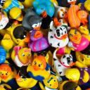 Rubber Duckies Icon