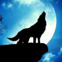 World of Wolves Icon